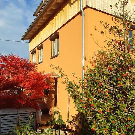 Haus Meersburg Rebe Lägenhet Exteriör bild