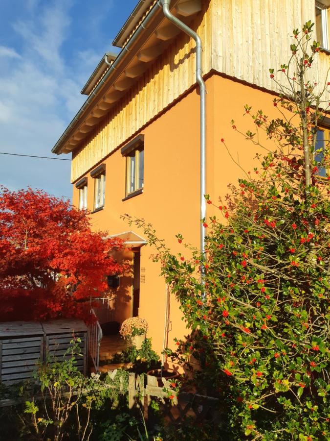 Haus Meersburg Rebe Lägenhet Exteriör bild